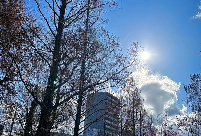画像2214：2026年